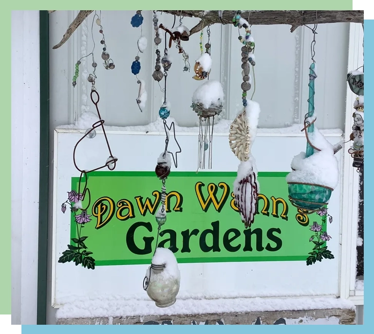 Dawn Wann's Gardens